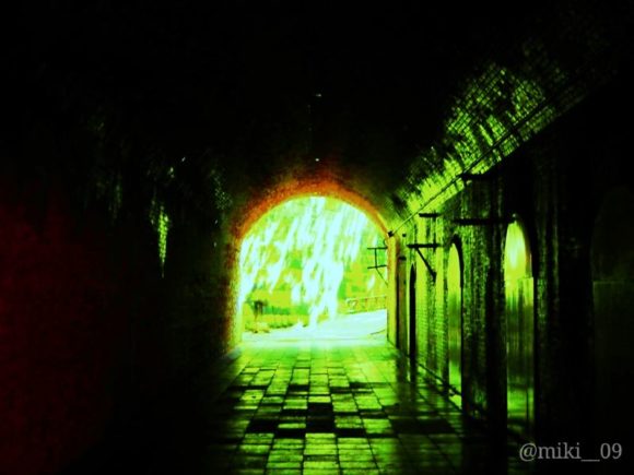 東京湾の無人島猿島の愛のトンネル