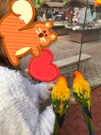 富士花鳥園のコガネメキシコインコ