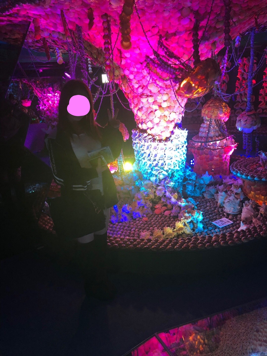 竹島ファンタジー館のクラゲの世界