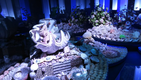 竹島ファンタジー館の貝殻で作ったカラフルなお花たちや展示物