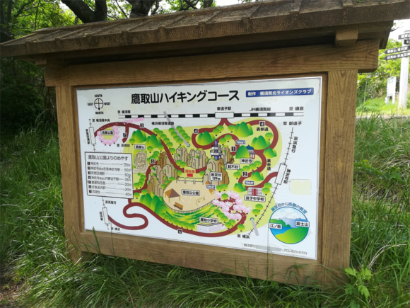 鷹取山のハイキングコース